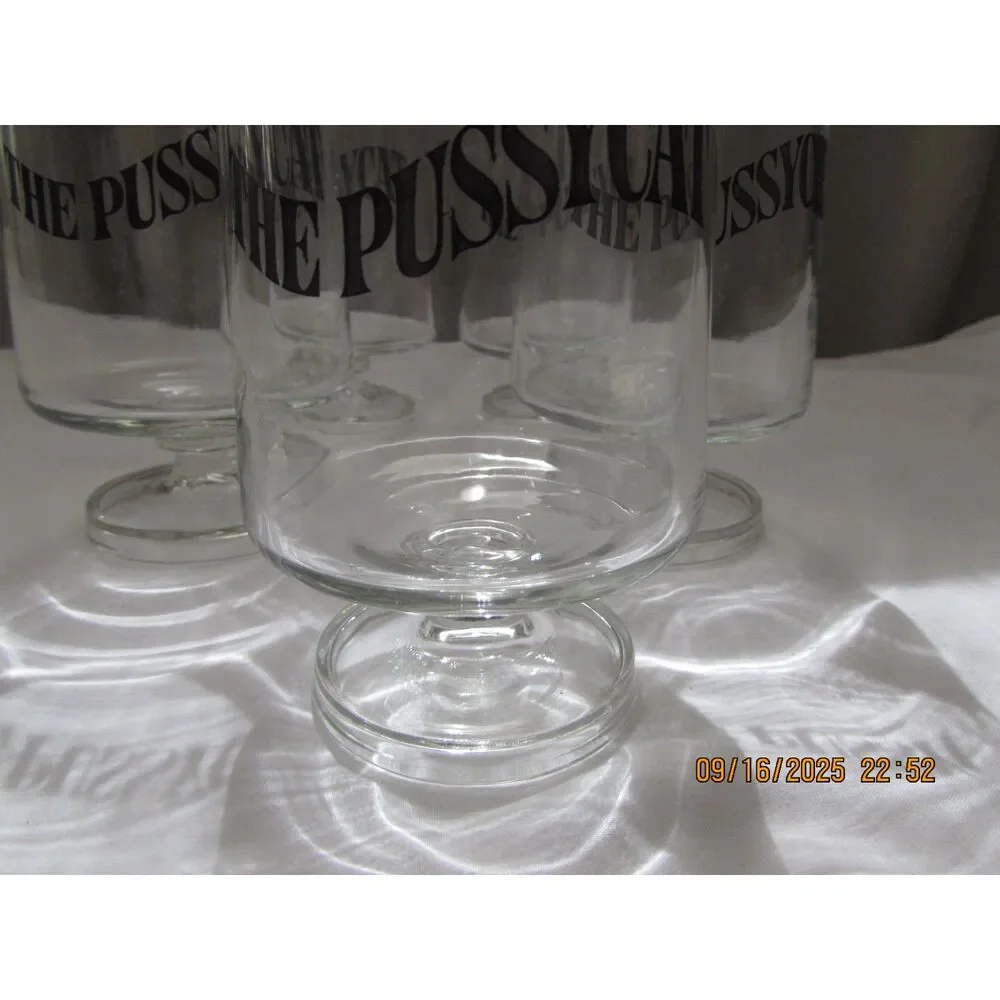 Vintage barware cocktail glasses set of 5 The Pussycat mid-century modern cat